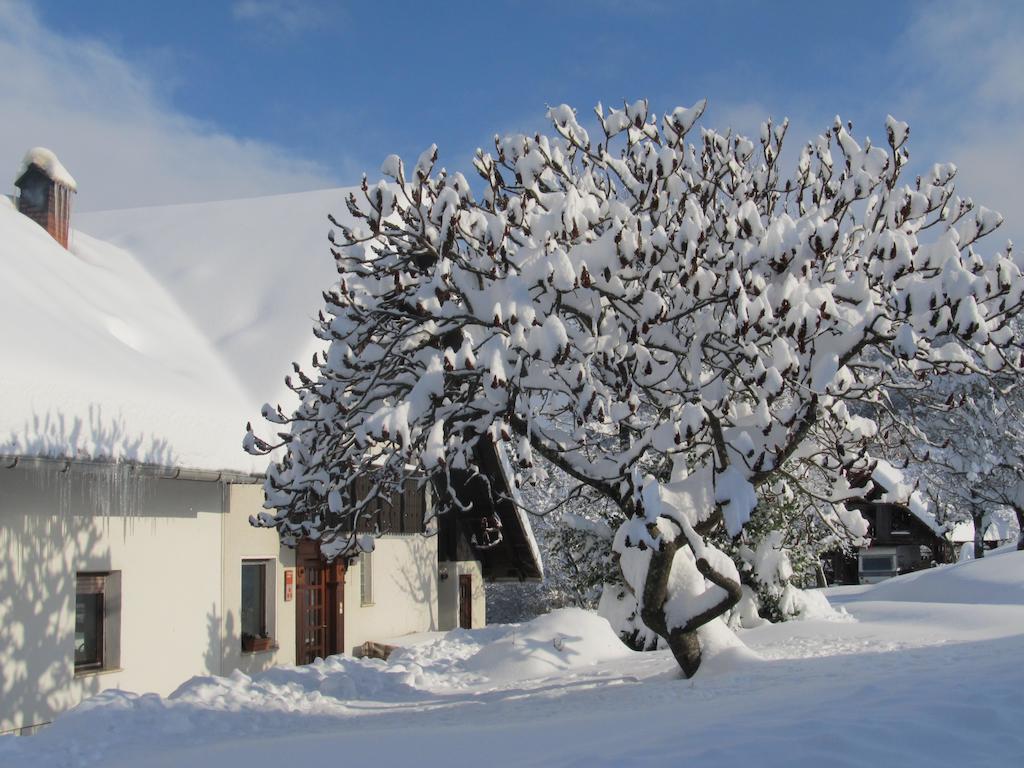 Tourist Farm Ljubica Villa Poljane nad Skofjo Loko Exterior photo