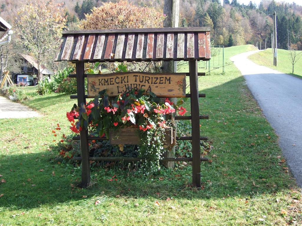 Tourist Farm Ljubica Villa Poljane nad Skofjo Loko Exterior photo