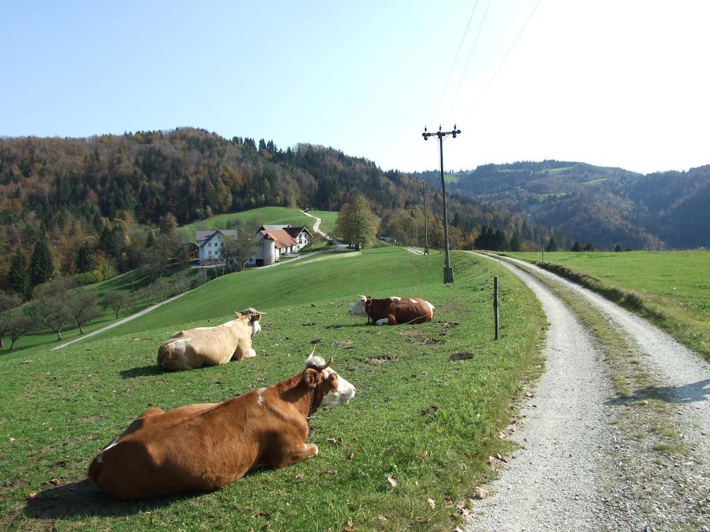 Tourist Farm Ljubica Villa Poljane nad Skofjo Loko Exterior photo