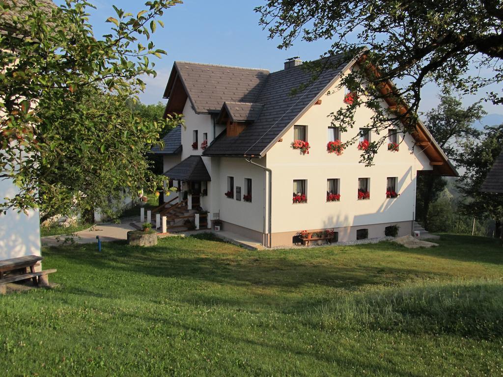 Tourist Farm Ljubica Villa Poljane nad Skofjo Loko Exterior photo